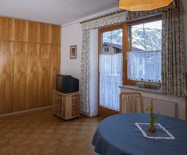 Haus Schönegger in Dorfgastein - Appartment 2 / Ferienwohnung 2